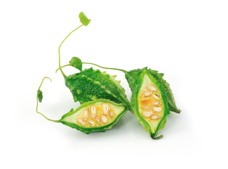 Melón amargo imagen de archivo. Imagen de medicina, producto 25901989