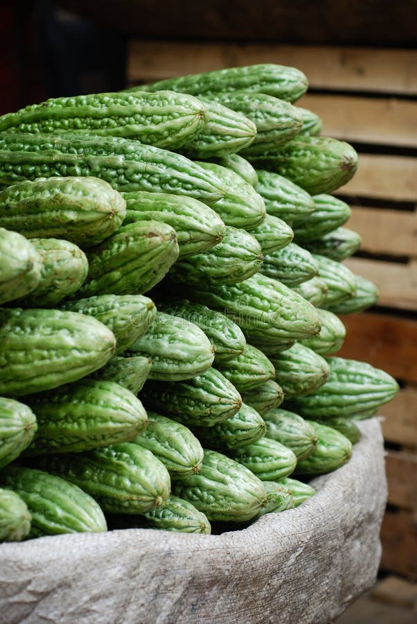 Melón amargo en mercado foto de archivo. Imagen de mercado 20062668