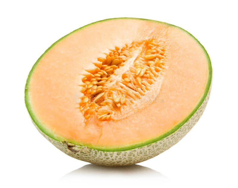 Melón cantalupo fotografía de archivo libre de regalías