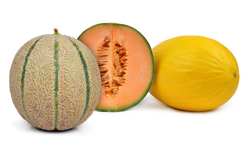 Melón cantalupo fotografía de archivo