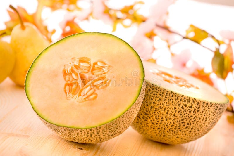 Melón cantalupo fotografía de archivo libre de regalías