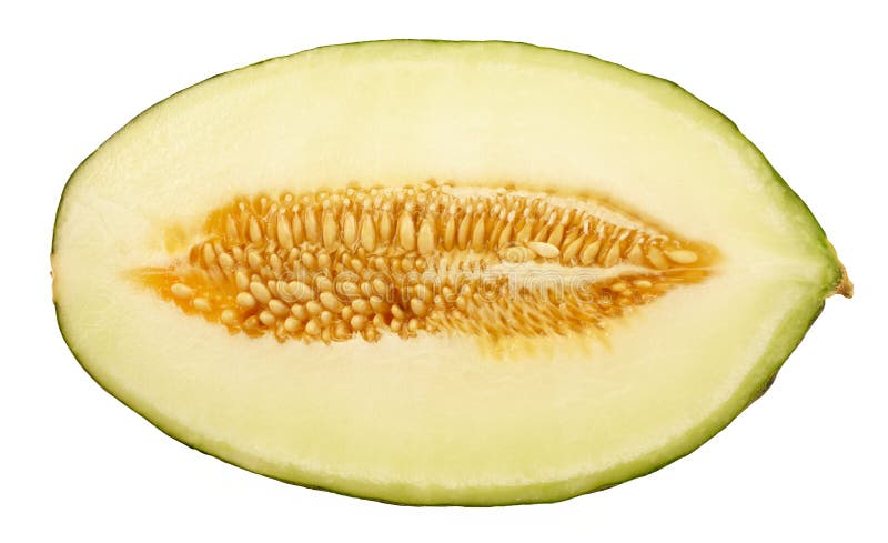 Melón cantalupo fotografía de archivo