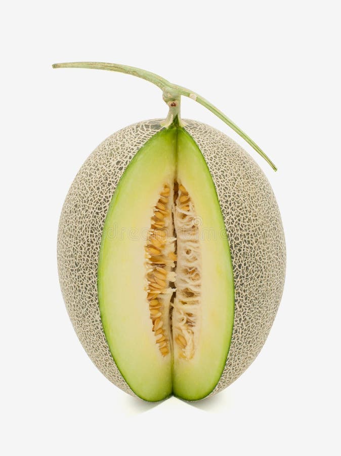 Melón del verde de Japón en el fondo blanco fotos de archivo libres de regalías Melón del verde de Japón en el fondo blanco fotos de archivo libres de regalías