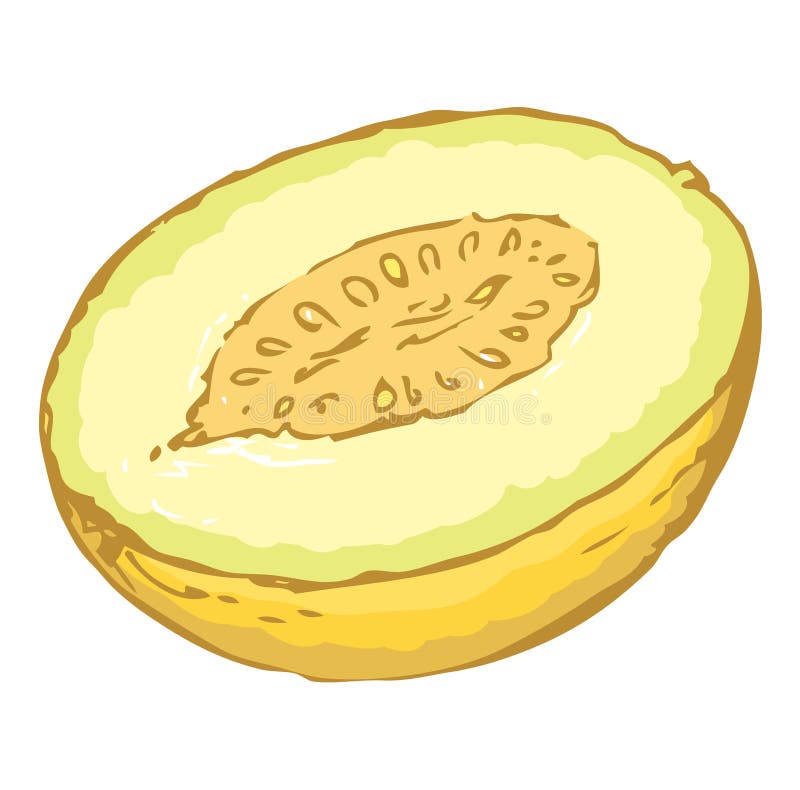 Melón Gráfico del vector ilustración del vector Melón Gráfico del vector ilustración del vector