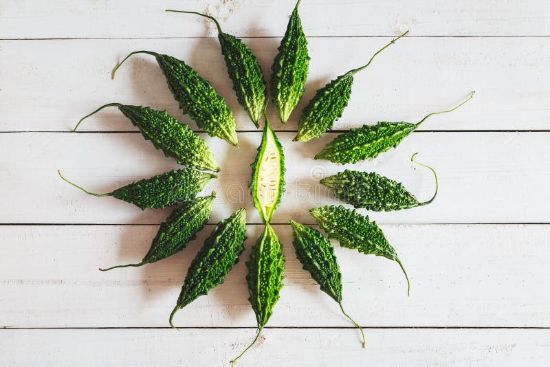 Melões Amargos fotografia de stock