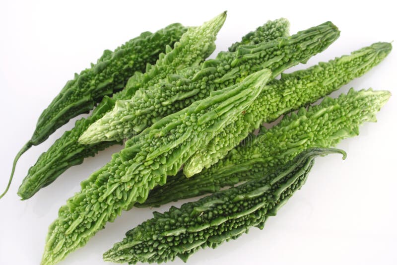 Melões amargos verdes fotografia de stock royalty free