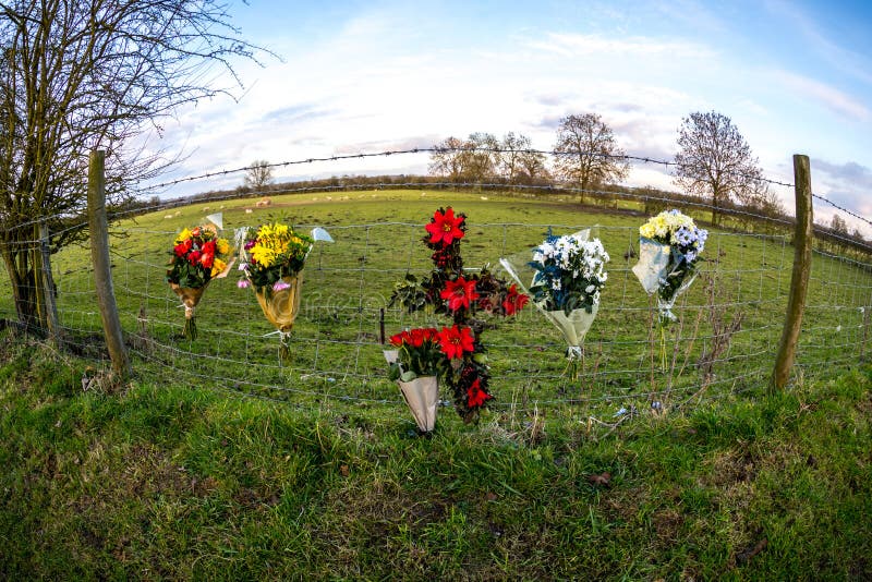 In memoriam RASGO das flores fotografia de stock In memoriam RASGO das flores fotografia de stock