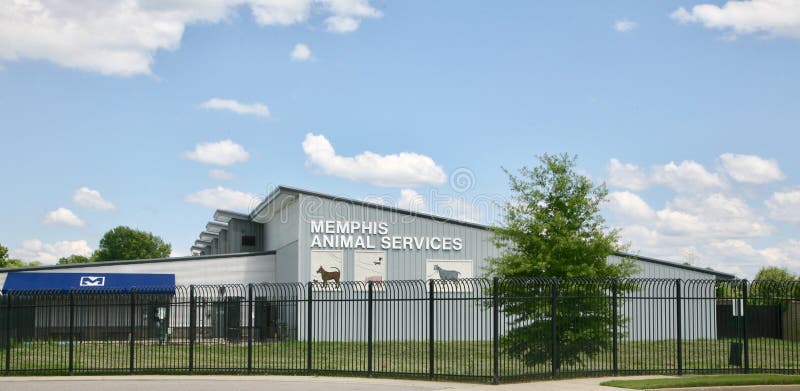 Memphis Animal Services editorial stock image. Image of provide - 94281189