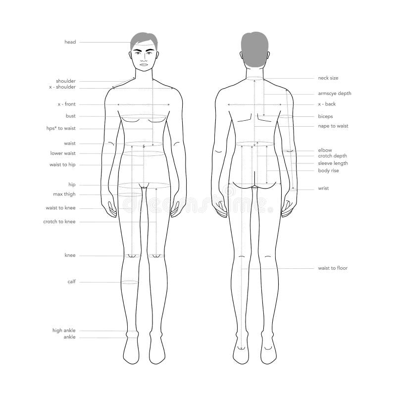 Clothing Size Chart Stock Illustrations – 579 Clothing Size Chart