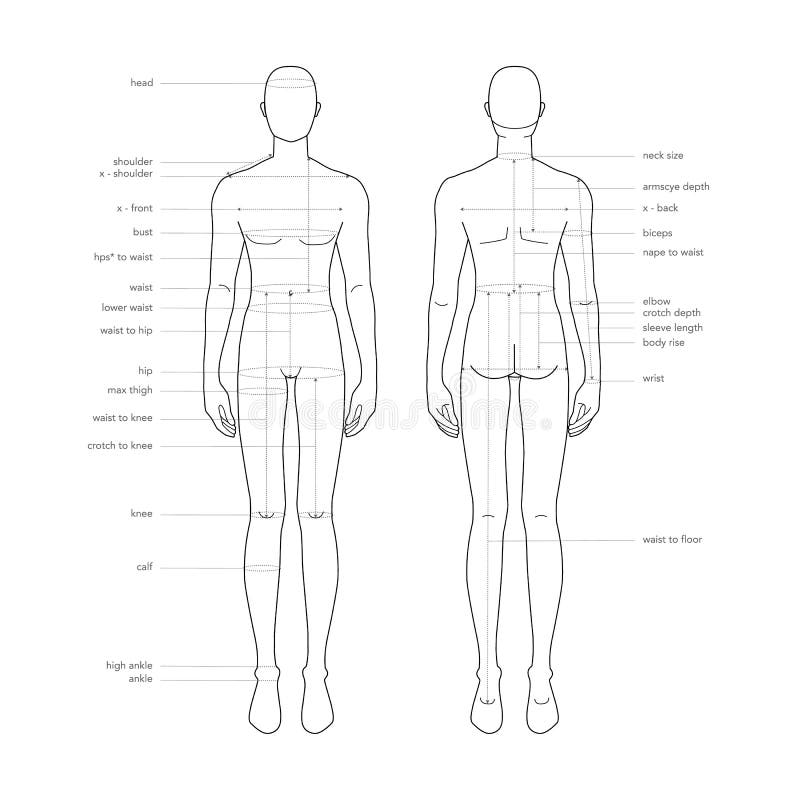Men Body Parts Terminology Measurements Illustration for Clothes and  Accessories Production Fashion Male Size Chart Stock Illustration -  Illustration of structure, clothing: 206827505