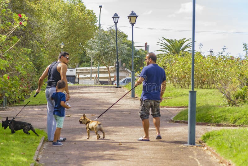 Men with Pets Walking at Park Editorial Image Image of people, season