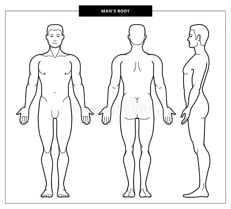 Medical Chart Body Outline