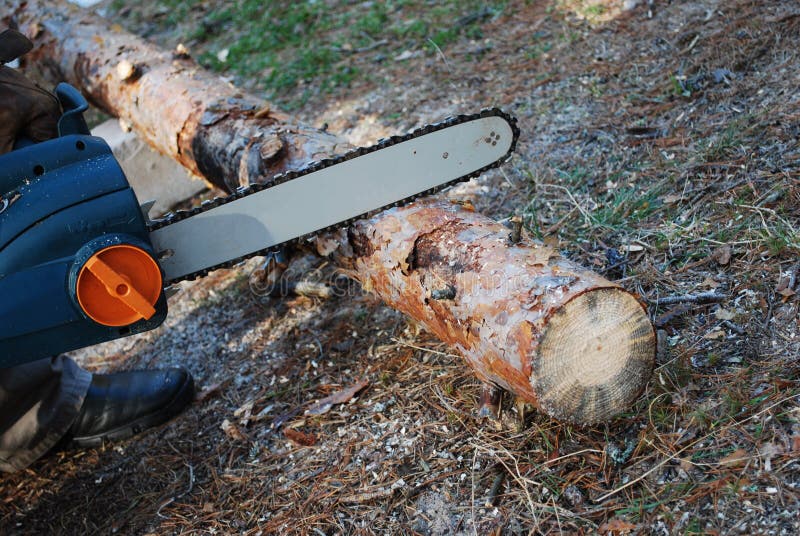 Men S Hands Hold the Electrician Saw. Stock Image Image of