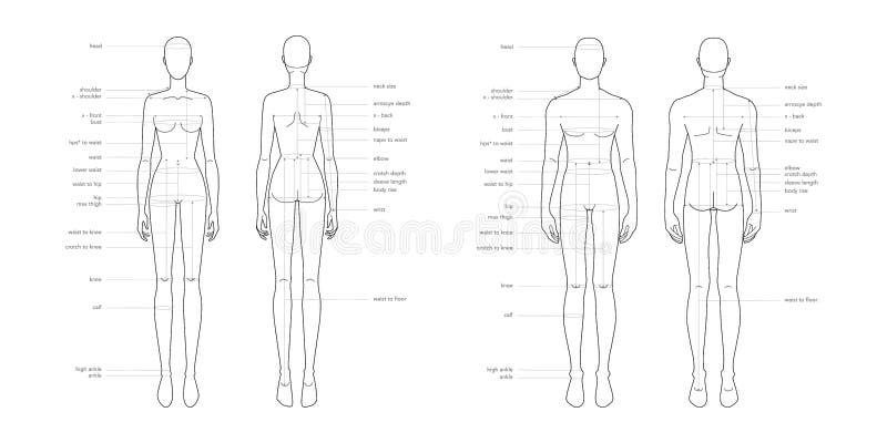 Men Size Chart Stock Illustrations – 324 Men Size Chart Stock Illustrations,  Vectors & Clipart - Dreamstime