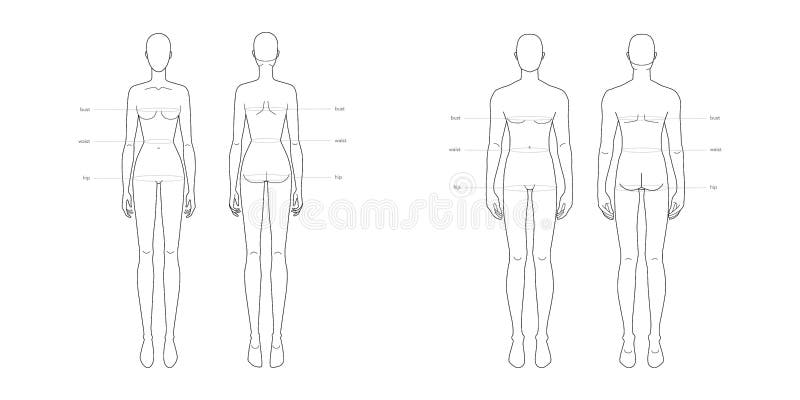Women Standard Model Body Measurements for Fashion Lady Size Chart for  Site, Production and Online Clothes Shop. Stock Illustration - Illustration  of form, proportion: 206815670
