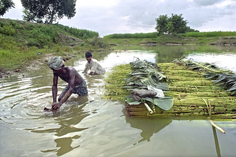 Men working in jute industry, Bangladesh