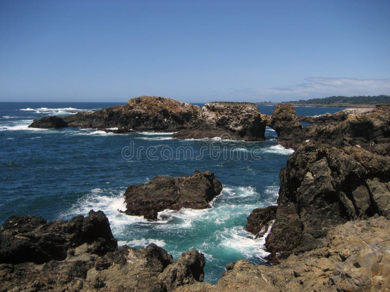 Mendocino Headlands