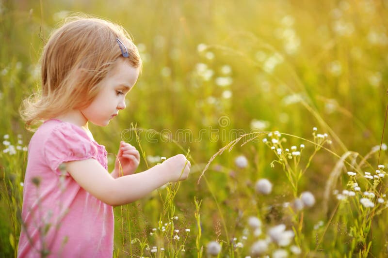 Adorable preschooler girl in a meadow at summer or autumn. Adorable preschooler girl in a meadow at summer or autumn