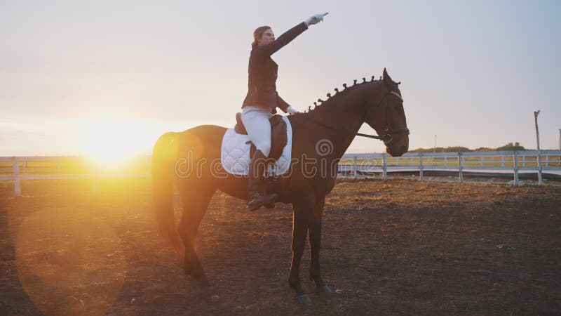 Menina Com Seu Cavalo De Baía Escura Segurando Sua Corda Na Arena Arenosa  Foto de Stock - Imagem de animal, lazer: 225970050