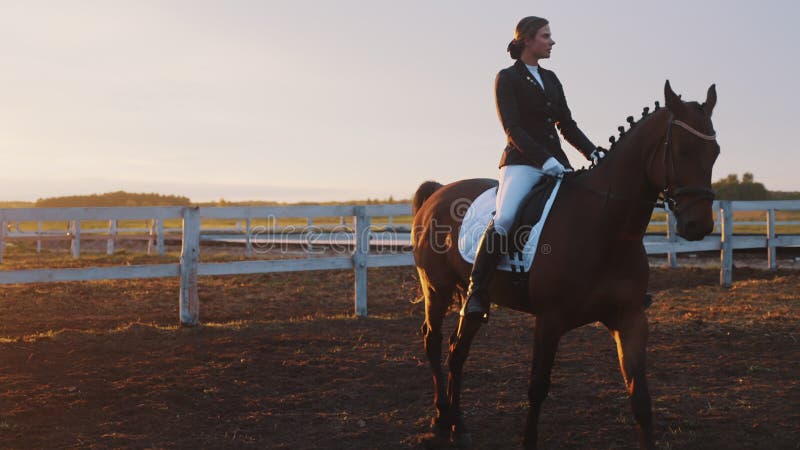 Menina Com Seu Cavalo De Baía Escura Segurando Sua Corda Na Arena Arenosa  Foto de Stock - Imagem de animal, lazer: 225970050