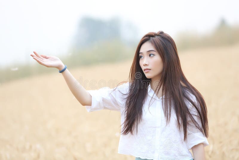 Menina asiática no campo de trigo. Menina asiática na opinião de campo de trigo