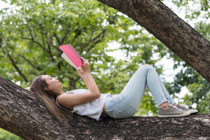 A menina atrativa leu o livro no tronco de árvore fotos de stock A menina atrativa leu o livro no tronco de árvore fotos de stock
