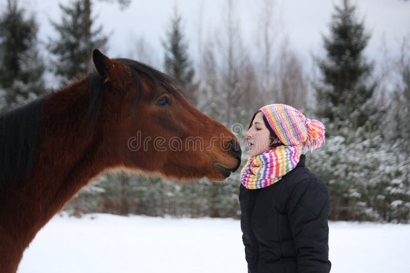 Menina bonita do adolescente que beija playfully o cavalo marrom no inverno fotos de stock Menina bonita do adolescente que beija playfully o cavalo marrom no inverno fotos de stock