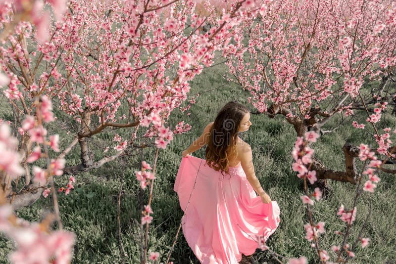 Menina bonita em um jardim de florescência da mola Está vestindo um vestido de casamento imagens de stock royalty free Menina bonita em um jardim de florescência da mola Está vestindo um vestido de casamento imagens de stock royalty free
