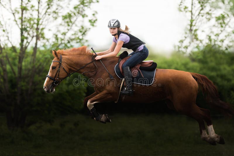 Menina bonita nova que monta um cavalo imagens de stock royalty free Menina bonita nova que monta um cavalo imagens de stock royalty free