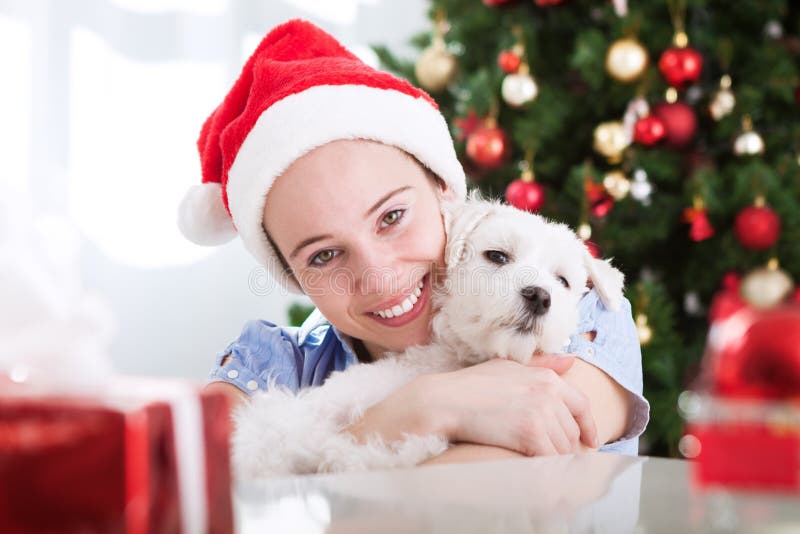 Menina bonito e seu abraço do cão e o bonito para o Natal foto de stock Menina bonito e seu abraço do cão e o bonito para o Natal foto de stock