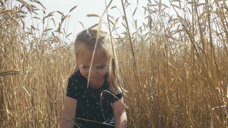 Menina bonito que anda através do campo de trigo