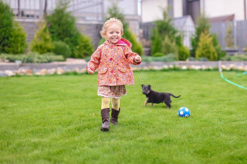 Cão Com a Bola Que Corre Da Criança Que Joga O Jogo Da Atualização Imagem  de Stock - Imagem de persiga, gramado: 87963521