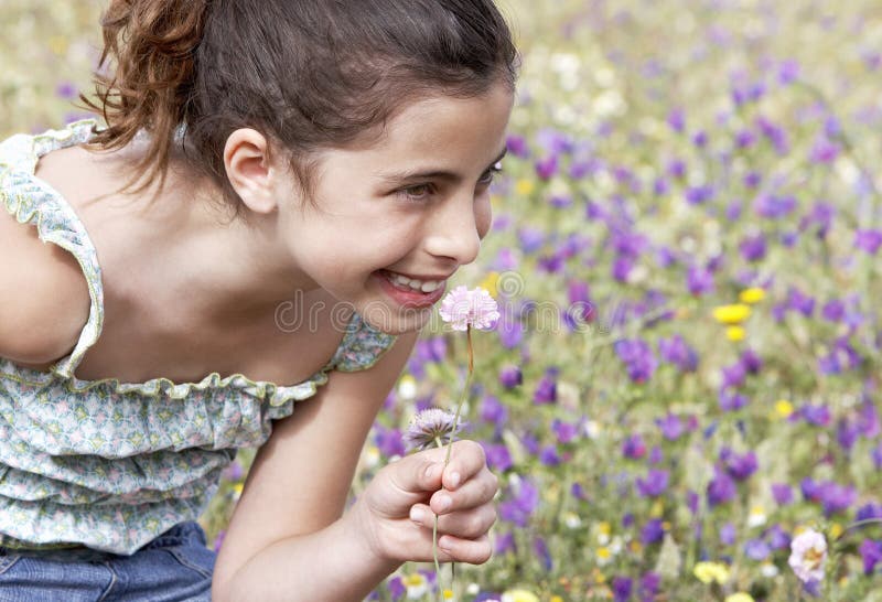 Menina bonito que senta-se no campo das flores fotos de stock Menina bonito que senta-se no campo das flores fotos de stock