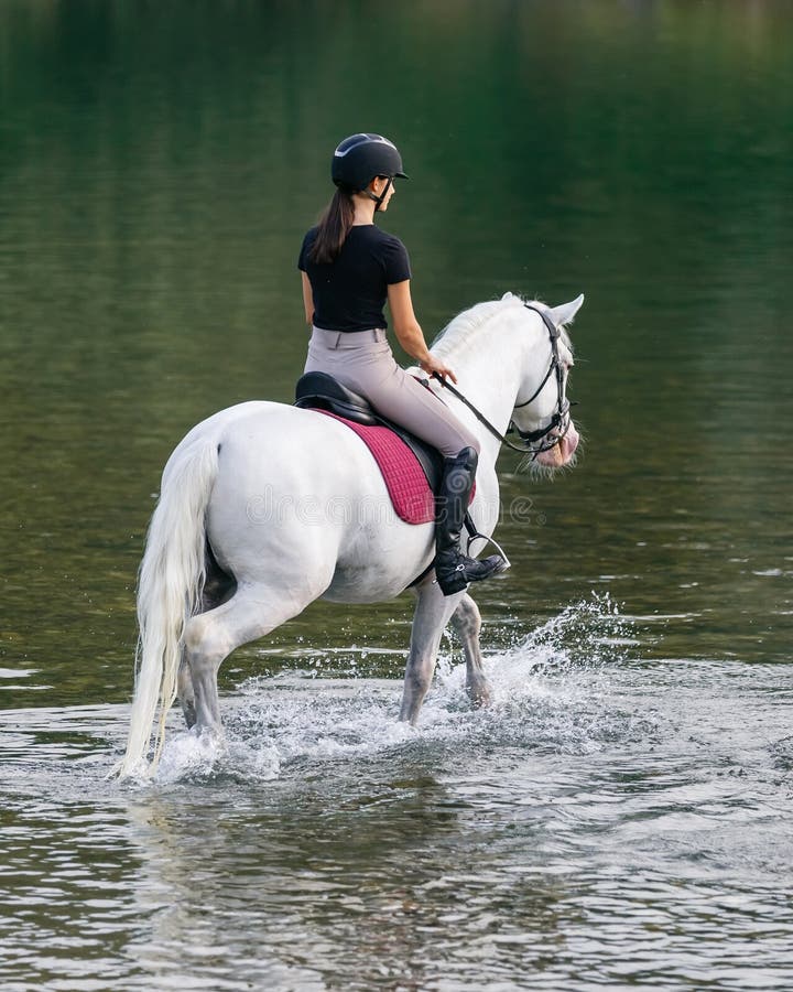 Garota Equestre Pulando Obstáculo Com Cavalo Cinza-maçã Imagem de