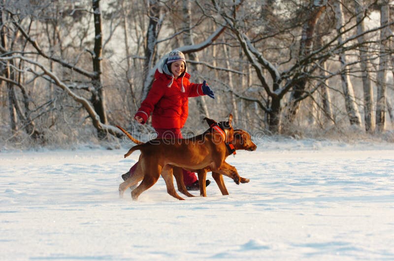 Menina com seus cães na neve Menina com seus cães na neve