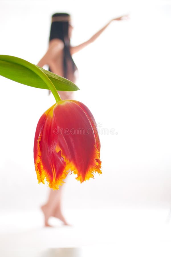 A menina despida em um fundo branco imagem de stock A menina despida em um fundo branco imagem de stock