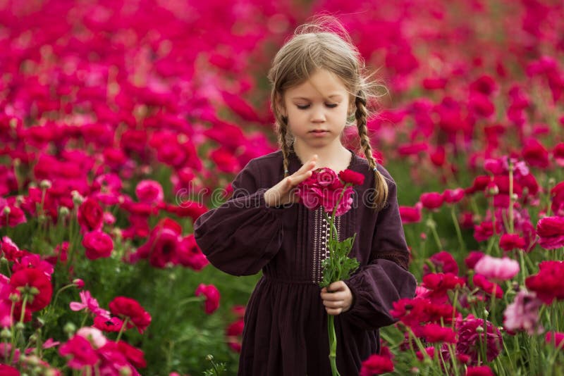 Menina doce em um prado com as flores selvagens da mola fotografia de stock royalty free Menina doce em um prado com as flores selvagens da mola fotografia de stock royalty free