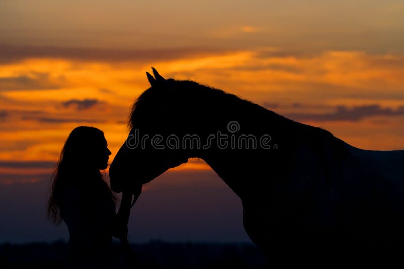 Jogo de dois cavalos imagem de stock. Imagem de preto - 48110871