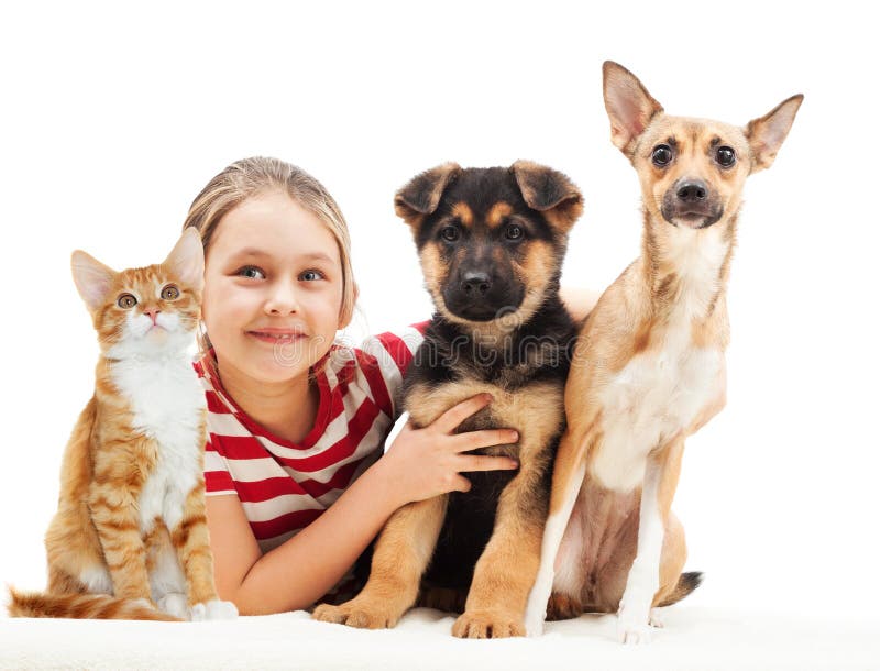 Adolescente Bonito Da Menina 10-11 Anos Que Guardam Um Gato Foto de Stock -  Imagem de longo, povos: 72766462