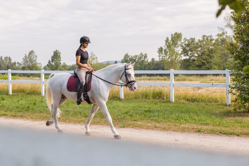 Garota Equestre Pulando Obstáculo Com Cavalo Cinza-maçã Imagem de