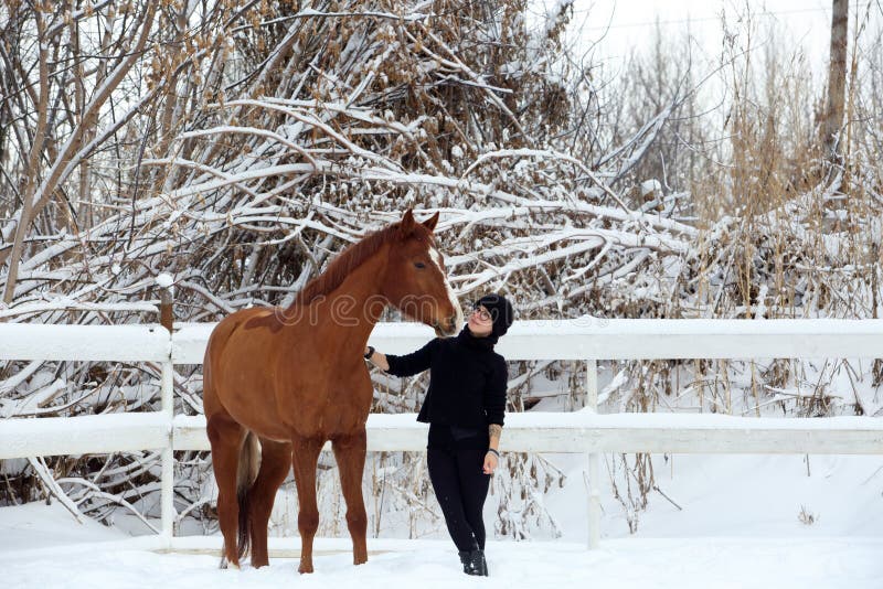 Garota Equestre Pulando Obstáculo Com Cavalo Cinza-maçã Imagem de