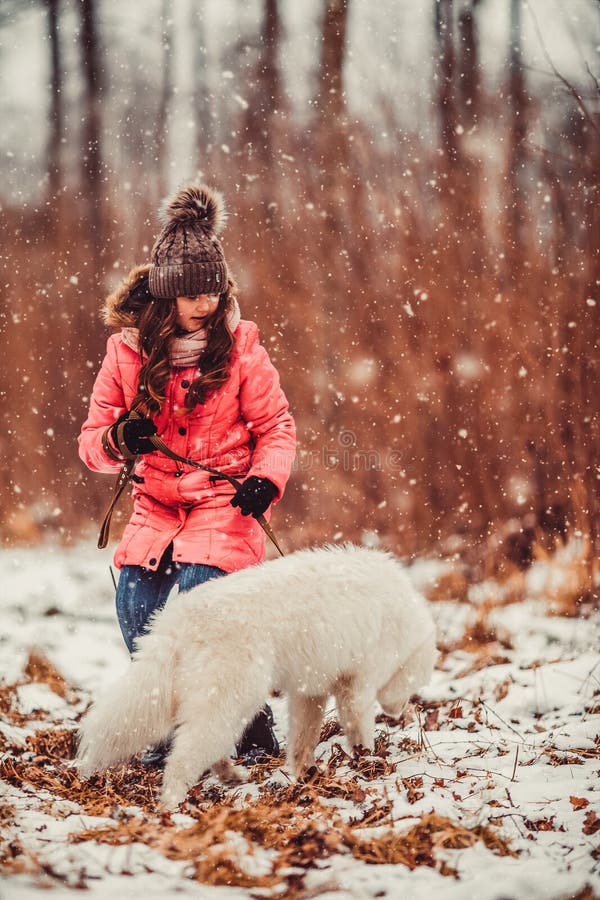 Menina feliz com o cão do Samoyed na floresta do inverno fotos de stock Menina feliz com o cão do Samoyed na floresta do inverno fotos de stock