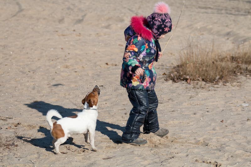 Menina no chapéu e no revestimento nos jogos do inverno na praia na areia com Jack Russell foto de stock royalty free Menina no chapéu e no revestimento nos jogos do inverno na praia na areia com Jack Russell foto de stock royalty free