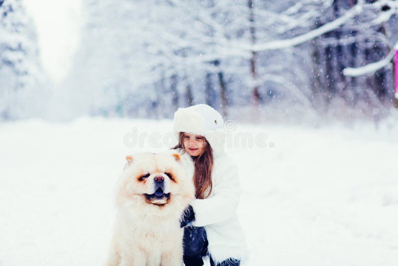 Menina que abraça o cão bonito fotografia de stock Menina que abraça o cão bonito fotografia de stock