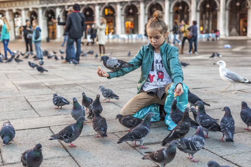Menina que alimenta os pombos no quadrado de St Marc fotografia de stock Menina que alimenta os pombos no quadrado de St Marc fotografia de stock