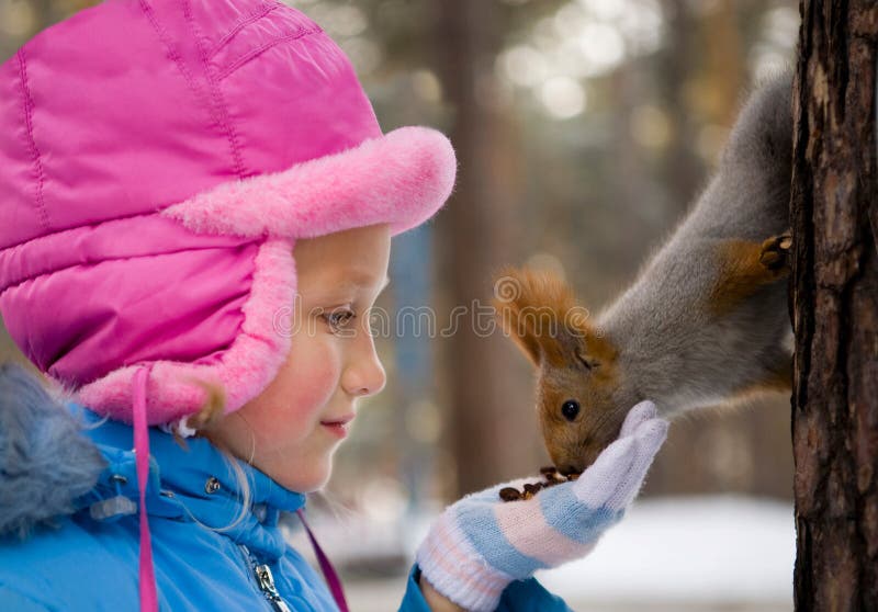 Menina que alimenta um esquilo na floresta do inverno fotografia de stock Menina que alimenta um esquilo na floresta do inverno fotografia de stock