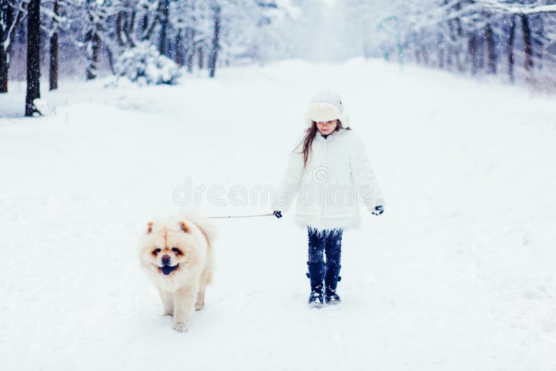 Menina que anda com o cão da comida de comida fotografia de stock Menina que anda com o cão da comida de comida fotografia de stock