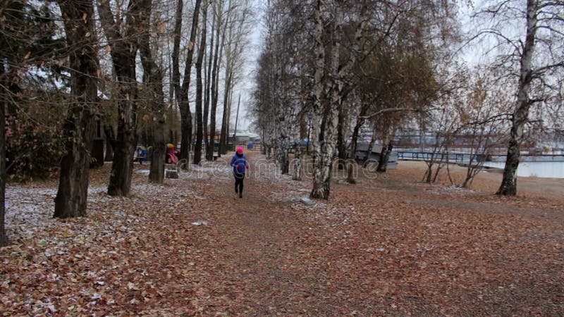 Menina que corre no parque do outono durante o dia nebuloso frio Mulher que exercita ao ar livre