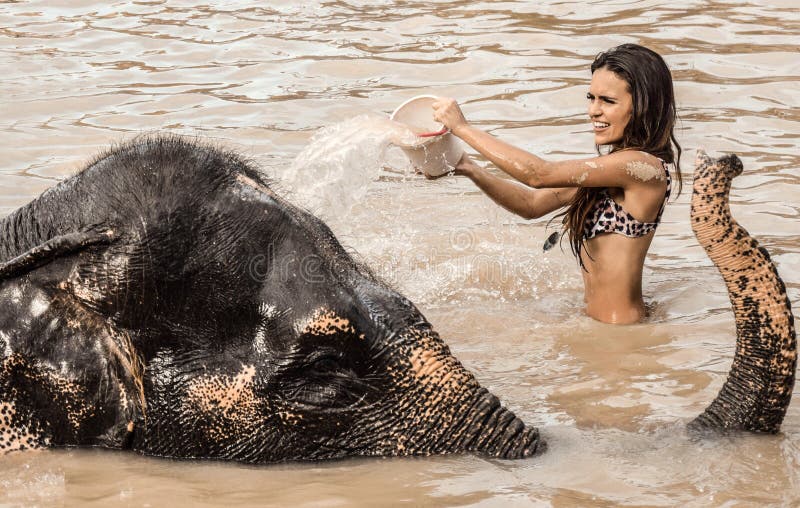 Menina que lava um elefante fotografia de stock royalty free Menina que lava um elefante fotografia de stock royalty free