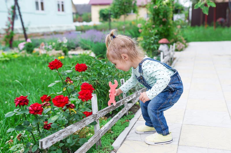 A menina repara uma cerca de madeira na jarda imagens de stock A menina repara uma cerca de madeira na jarda imagens de stock